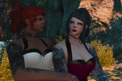Snapshots (92)