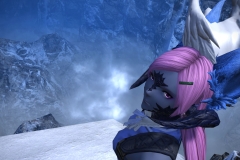 Snapshot (255)