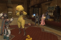 Snapshot (275)
