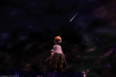 Snapshot-311