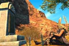 Snapshot-313