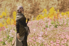 Snapshot-317