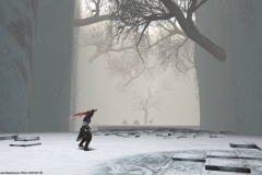 Snapshot-325