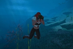 Snapshot-326