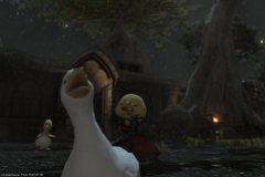 Snapshot-366